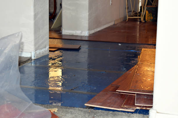 Professional Water Damage Repair technician working in Nada, TX